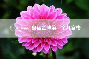 巴音郭楞蒙古奥运金牌第二个九宫格