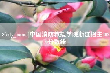 巴音郭楞蒙古中国消防救援学院浙江招生2020分数线