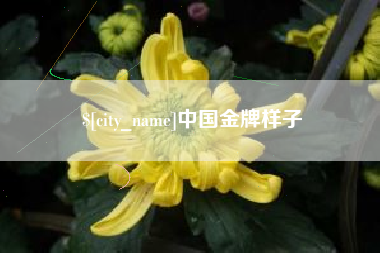 巴音郭楞蒙古中国金牌样子