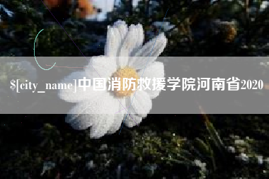 巴音郭楞蒙古中国消防救援学院河南省2020
